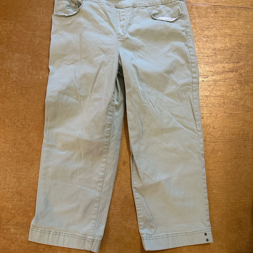 Gloria Vanderbilt Light Green Pants